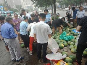 朝阳热心市民吃瓜网,揭秘都市生活百态，共享社区欢乐时光