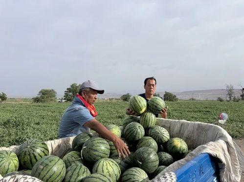 17吃瓜官网入口,独家入口带你畅游娱乐圈风云