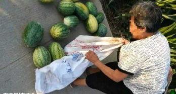 网红冷门吃瓜最新事件是什么,最新神秘事件幕后真相曝光