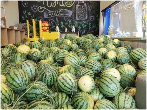 吃瓜官网今日,揭秘娱乐圈最新八卦动态