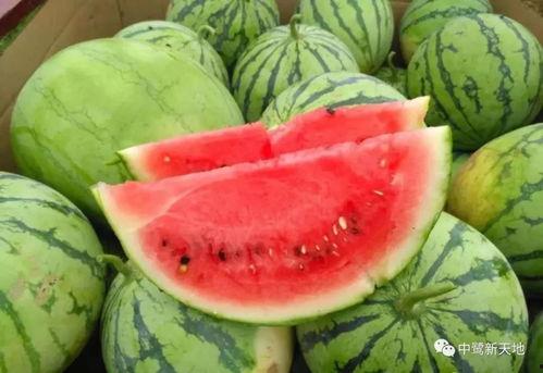 吃瓜官网今日,揭秘娱乐圈最新八卦动态