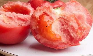 西红柿网红吃瓜