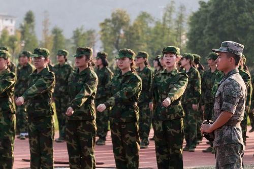 51朝阳群众爆料吃瓜网军训,吃瓜网军训现场直击