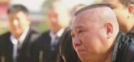 金乡网红吃瓜事件始末,一场网络狂欢背后的真相与反思