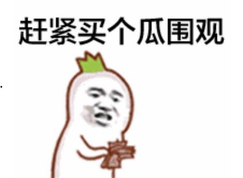 吃瓜群众瓜哥网红视频