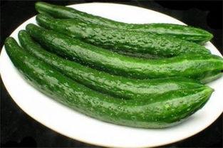 名星网红吃瓜视频