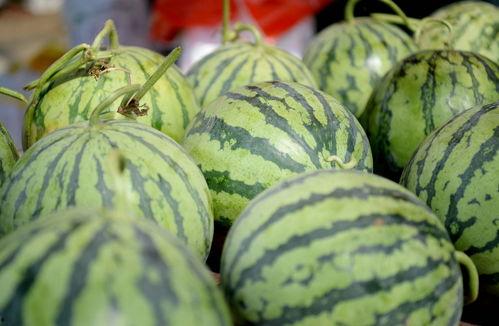 名星网红吃瓜视频