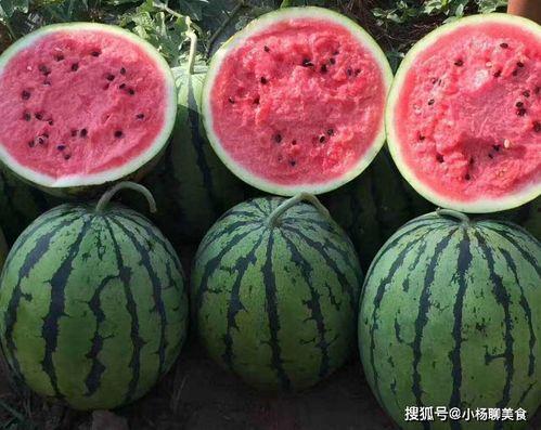 网红吃瓜文案怎么写好一点,揭秘热门事件背后的幕后真相