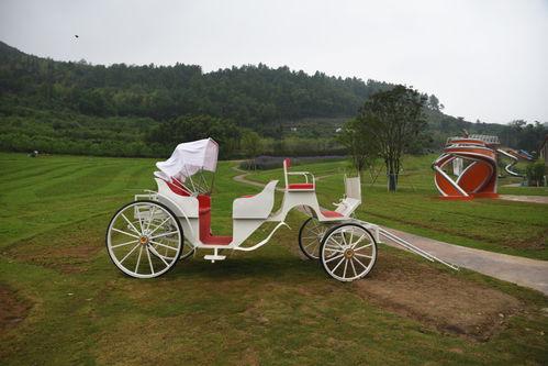 网红吃瓜文案怎么写好一点,揭秘热门事件背后的幕后真相