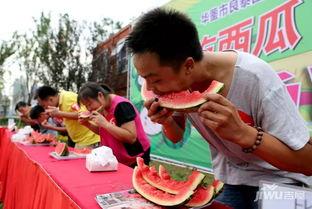 在线吃瓜网每日大赛,在线吃瓜网精彩瞬间大盘点