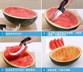 吃瓜神器 测评官网入口,官网入口测评，带你畅游美食世界