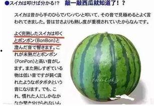 黑吃瓜料网真实吗,真实与否，一探究竟