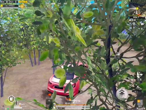 秃崽1v4吃瓜夸克官网,揭秘网络红人的魅力与争议