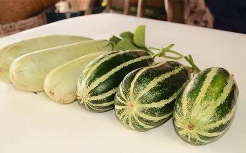 现在有哪些网红瓜可以吃
