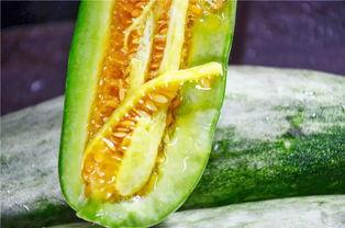 现在有哪些网红瓜可以吃