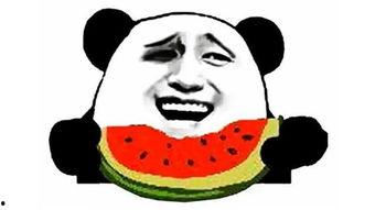 搞笑吃瓜网,揭秘娱乐圈那些鲜为人知的幕后趣事