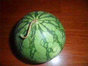 51吃瓜网必看,揭秘娱乐圈最新热点，带你领略幕后真相