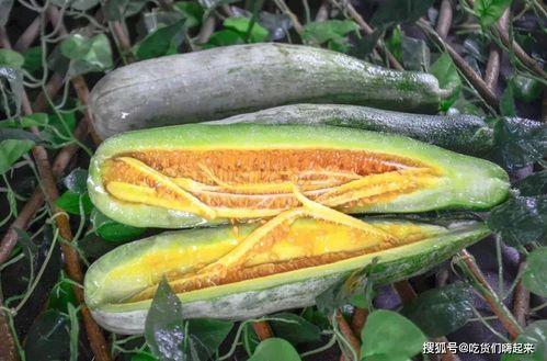 网红吃瓜在线,揭秘娱乐圈幕后真相