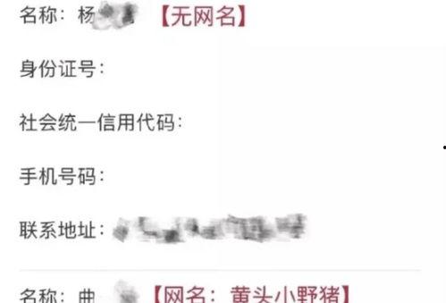 爆料网全网免费吃瓜爆料视频,全网免费吃瓜！揭秘爆料网热门视频背后的故事