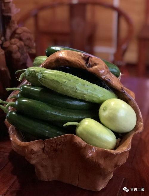 东南亚网红吃瓜