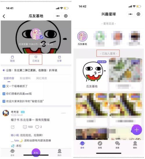 网暴吃瓜在线,揭秘网络暴力背后的真相与反思