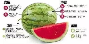 八卦网红吃瓜微信,揭秘娱乐圈幕后真相