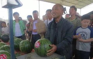 肇庆吃瓜群众网红事件真相,揭秘背后真相与网络舆论的力量