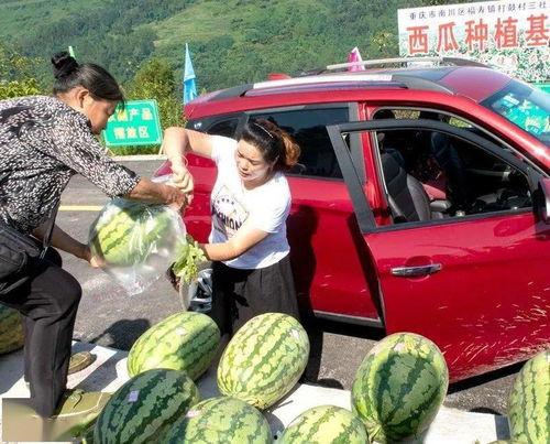 肇庆吃瓜群众网红事件真相,揭秘背后真相与网络舆论的力量