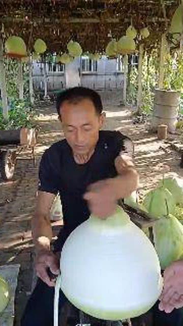 破哥吃瓜网,揭秘娱乐圈最新热点，带你领略明星幕后故事