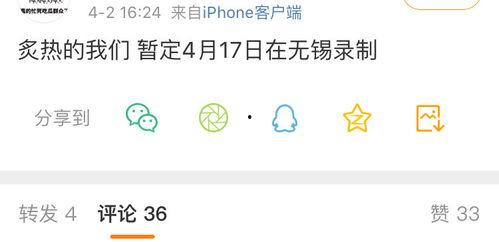 全网吃瓜爆料网盘,揭秘神秘网盘背后的秘密