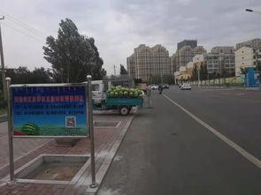 乌海市吃瓜新闻网站官网,揭秘本地热点事件，畅享轻松阅读时光