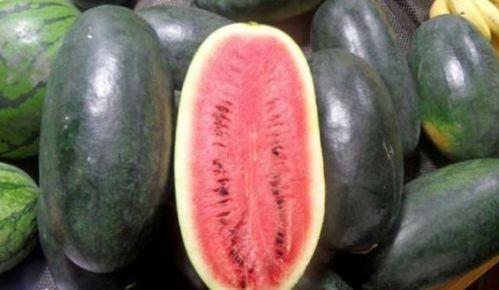 吃瓜网红正能量黑料视频