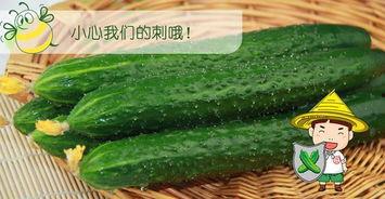 吃瓜深网,深网中的舆论场与社交生态