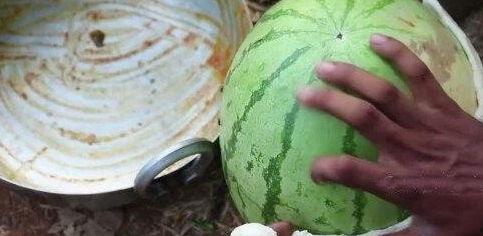 求网红吃瓜视频,揭秘娱乐圈幕后故事