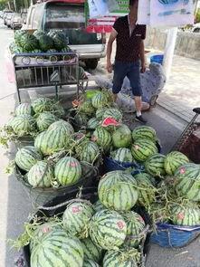 韩城吃瓜网红事件视频,一场网络舆论的风暴与反思