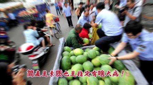 宁夏网红吃瓜事件视频,揭秘网络热议背后的真相