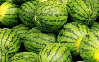 52吃瓜网每日大赛