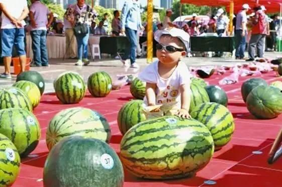 52吃瓜网每日大赛