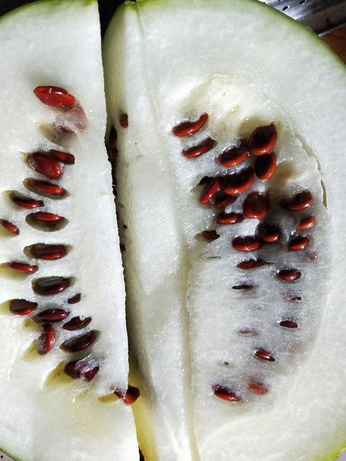 网红吃瓜吃皮,瓜皮也能成为美食焦点