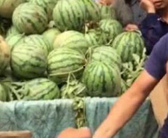 杭州吃瓜事件网红叫什么,网红“瓜王”引发全网热议