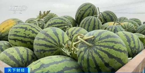 网红线下吃瓜,揭秘娱乐圈幕后故事