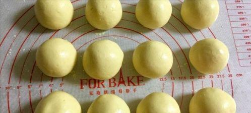 小瓜吃料最新入口官网