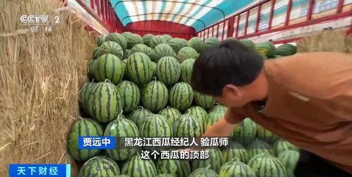 718吃瓜网入口,热门八卦一网打尽，带你畅游娱乐资讯海洋