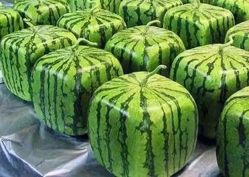 718吃瓜网入口,热门八卦一网打尽，带你畅游娱乐资讯海洋