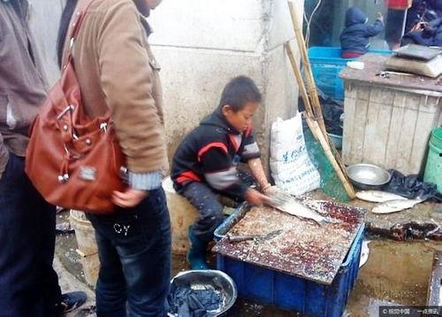 固始网红吃瓜事件是怎么回事,揭秘背后真相与网络舆论风暴