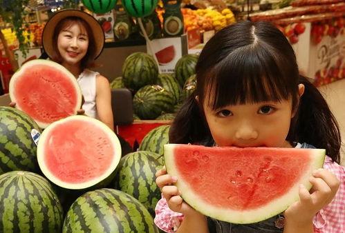 管家娘子吃瓜人书包网,揭秘人书包网背后的故事