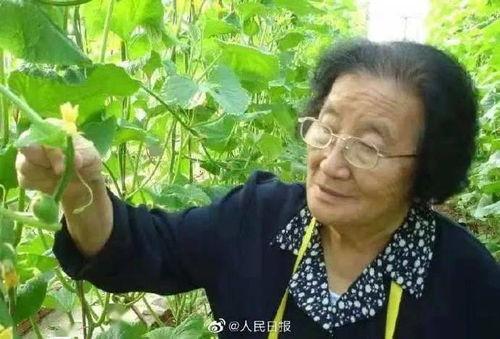 管家娘子吃瓜人书包网,揭秘人书包网背后的故事