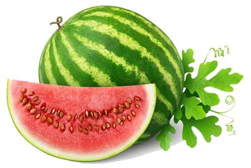 吃瓜网今日官网,揭秘娱乐圈最新动态，带你畅游八卦海洋