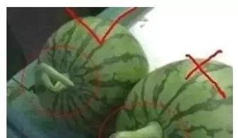 国产网红黑料吃瓜QQ群