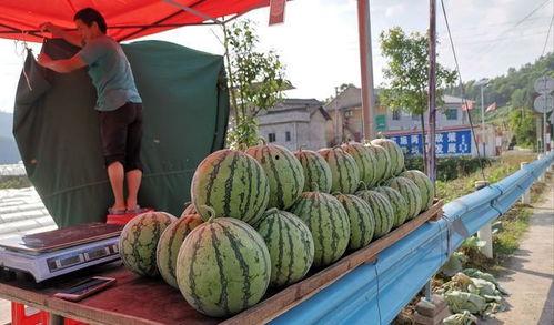 关于武都网红吃瓜事件,揭秘网络舆论的风暴与真相